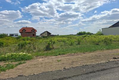 Teren Construcții intravilan de 628 mp, în Torontalului - 5