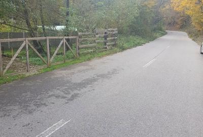 Casă cu 3 camere cu Teren 1500 Mp în Central - 10