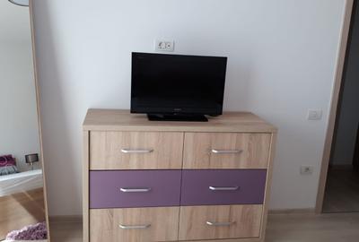 Apartament cu gradina bloc nou Dumbravita - 9