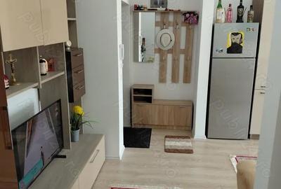 Apartament cu 2 camere decomandat în Turnișor - 5
