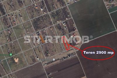 Teren intravilan Livada Sanpetru - 8