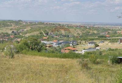 Teren  6.372mp Strs.Piersicilor/Str.Prunilor - 2