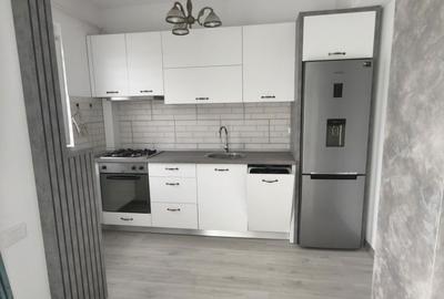 Apartament cu 2 camere, mobilat în Ostroveni