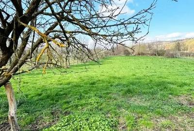 Casă cu 3 camere cu Teren 4700 Mp în Fârdea - 11