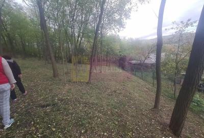 Casă cu 3 camere cu Teren 3410 Mp în Aluniș - 2