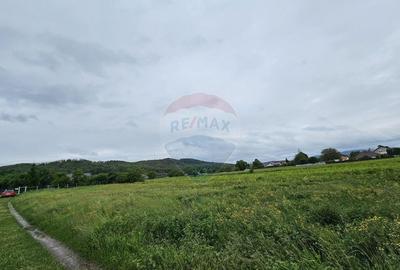 Teren 1,495mp Dobreni / Strada Parau Almas - 4