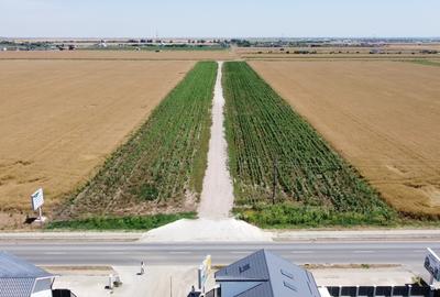 Teren Construcții intravilan de 385 mp, în Berceni - 1