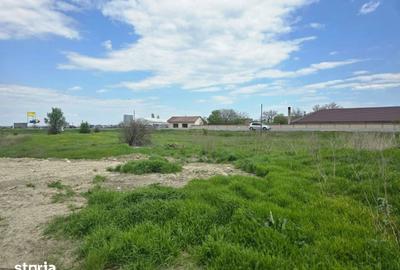 Teren de 16591 mp, în Garoafa - 8
