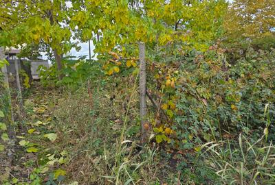 Teren  715  mp  intravilan Petresti - 18