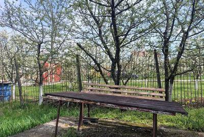 Teren de 2300 mp, în Central