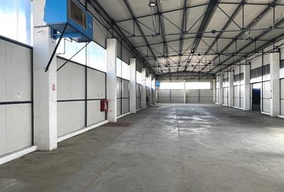 Hala productie / Depozitare - 5