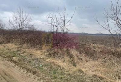 Teren Splaiul Unirii- Confort City. - 1