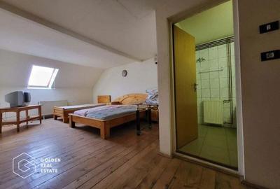 Casa P+1+M, Lipova - 6