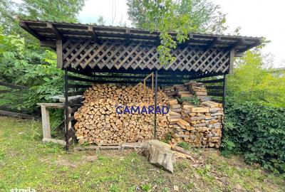 Casă cu 4 camere cu Teren 2377 Mp în Provița de Jos - 6