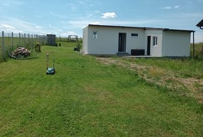 Casă cu 2 camere cu Teren 1000 Mp în Săldăbagiu de Munte - 2