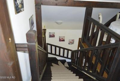 Topoloveni - Conacul Ion Mihalache, Domeniu pe 5 Hectare - 32