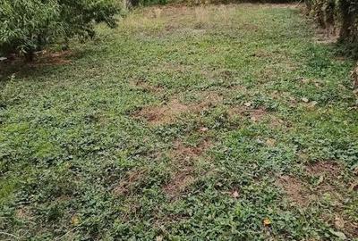 Casă cu 5 camere cu Teren 200 Mp în Potigrafu - 2