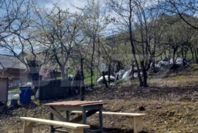 Teren de 2500 mp, în Viișoara - 2