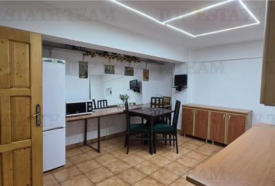 Vanzare Vila 7 camere Ion Mihalache - Miciurin - 20