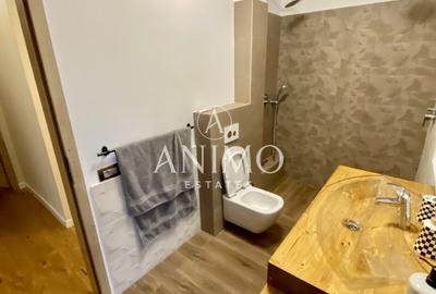 Apartament cu 3 camere semidecomandat, mobilat în Gruia - 16