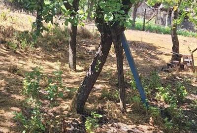 Casă cu 2 camere în Cipăieni - 5