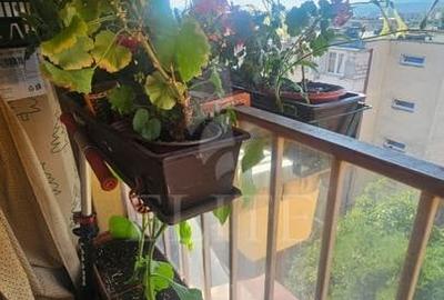 Apartament cu 2 camere decomandat în Mărăști - 16