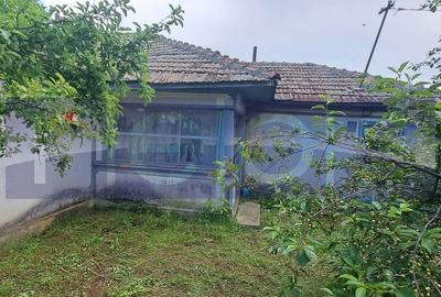 Casă cu 5 camere cu Teren 2500 Mp în Scrioaștea - 5