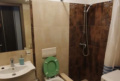 Apartament cu 2 camere decomandat, mobilat în Nord - 13
