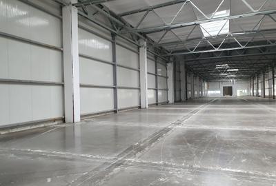 Spațiu industrial, în Astra - 2