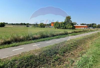 Teren in parcul industrial Madaras la intrare in oras Salonta . - 7