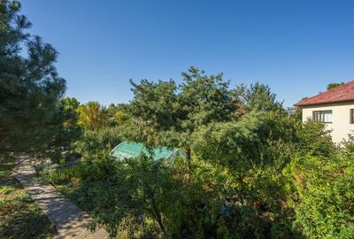 POVESTEA UNEI CASE PENTRU GENERATII  | VILA CU FARMEC, LUMINA SI TEREN 1618 MP POVESTEA UNEI CASE PENTRU GENERATII  | VILA CU FARMEC, LUMINA SI TEREN 1618 MP - 44