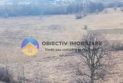 Teren de 3035 mp, în Bodești - 7