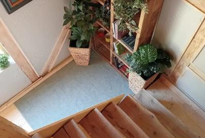 Vand cabana brebu nou - 3