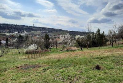 Teren intravilan - Paleu, Bihor - 3