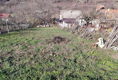 Casă cu 3 camere cu Teren 1100 Mp în Central - 8