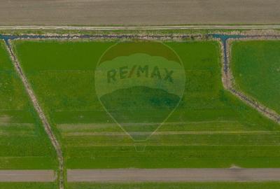 Teren agricol extravilan de 4000 mp, în Stupinii Prejmerului - 18