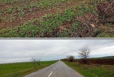 Teren de 12500 mp, în Târgșoru Vechi - 7