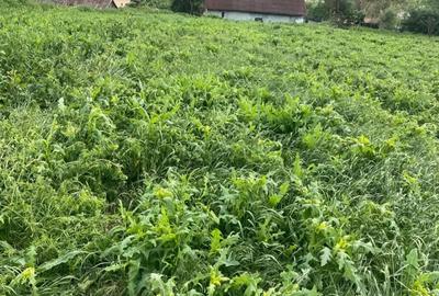 Casă cu Teren 3400 Mp în Recea-Cristur - 2