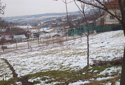 Teren de 704 mp, în Rediu - 5