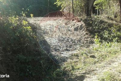 Spațiu comercial, în Brădișor - 6