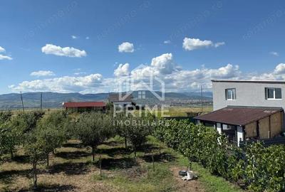 Teren de 850 mp, în Oarda - 1