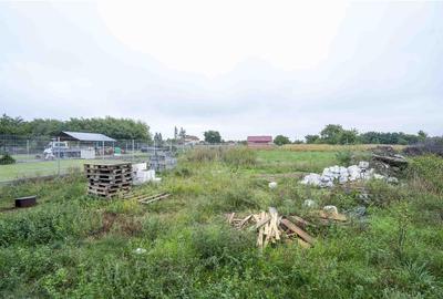 Casa Santaul Mic - 10