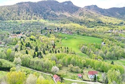Teren intravilan Bran- Predelut - 3