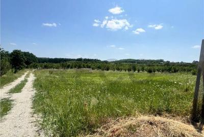 Teren de 685 mp, în Paleu - 7