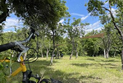 Casă cu Teren 7000 Mp în Aluniș - 2