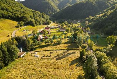 Teren Construcții intravilan de 1692 mp, în Remeți - 2