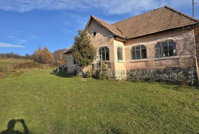 Teren Intravilan 1,2 Hectare cu Cert Urbanism,Sat Tisieu,Com. Ibanesti - 4