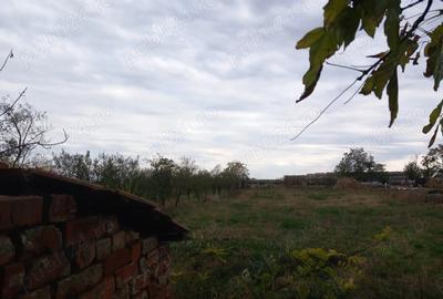 Vand casa sat Ivanda comuna Giulvaz Proprietar - 6