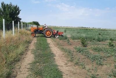 Teren agricol extravilan de 210000 mp, în Tărtășești