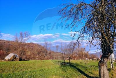 COMISION 0%  Teren intravilan de vanzare in Barsana (26 ARI) - 12